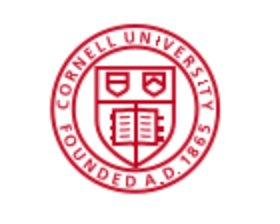Certificate in Diversity, Equity & Inclusion